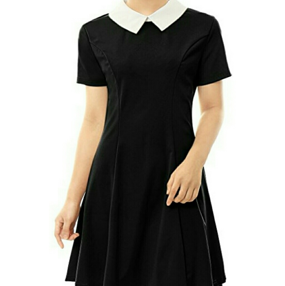Women's Contrast Doll Collar Dress