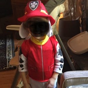 Paw Patrol dress up Marshall