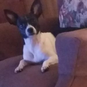 Meet your Posher, Brittany