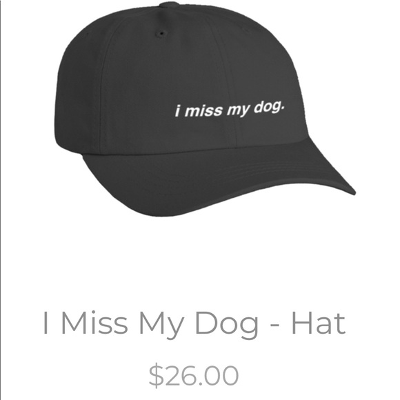 lakeland animal shelter cats