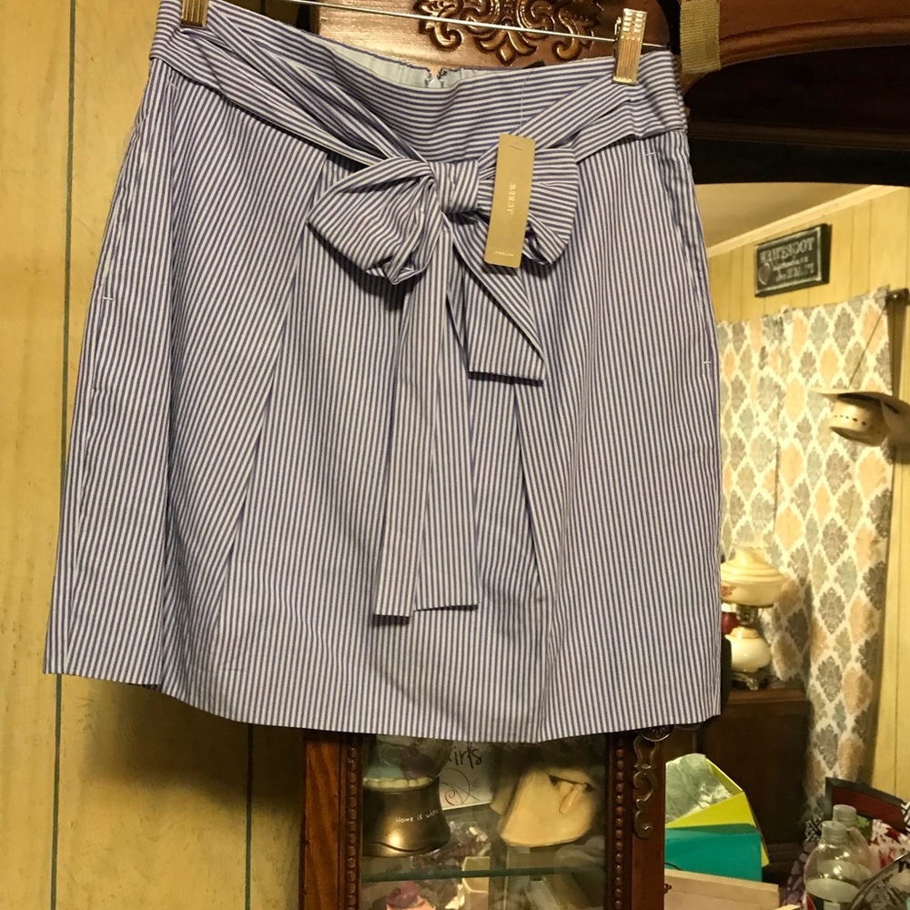 J. Crew Skirt
