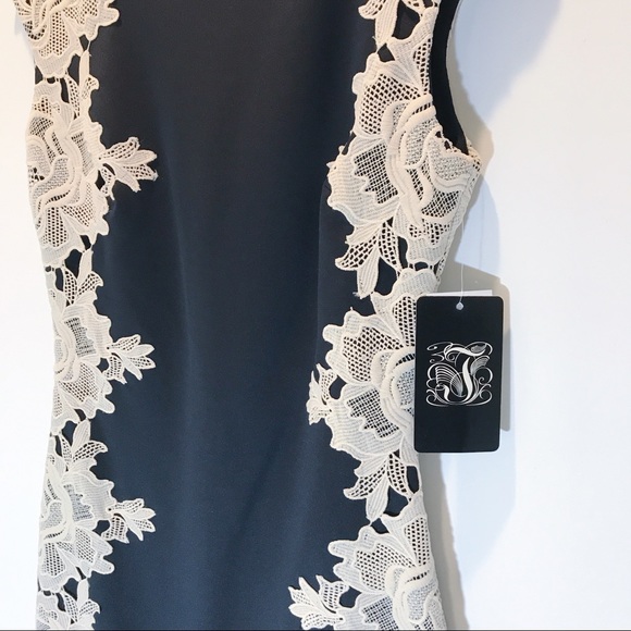 [Jax] Lace Panel Little Black Dress - Picture 2 of 7