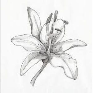 Meet your Posher, Jo