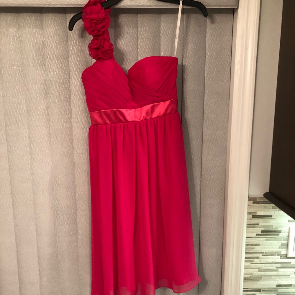 Bari Jay Hot Pink Dress