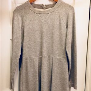 Madewell Long Sleeve Sweatshirt dress.