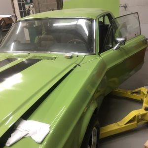 Meet your Posher, Elvis