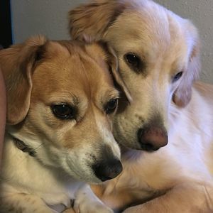 Meet your Posher, Brandy