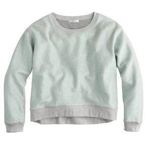 J. Crew • Metallic Sweatshirt