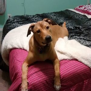 Meet your Posher, Michele