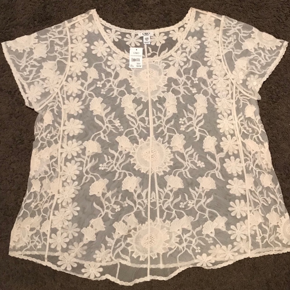 ✨Brand New✨ Cato Woman Sheer Blouse