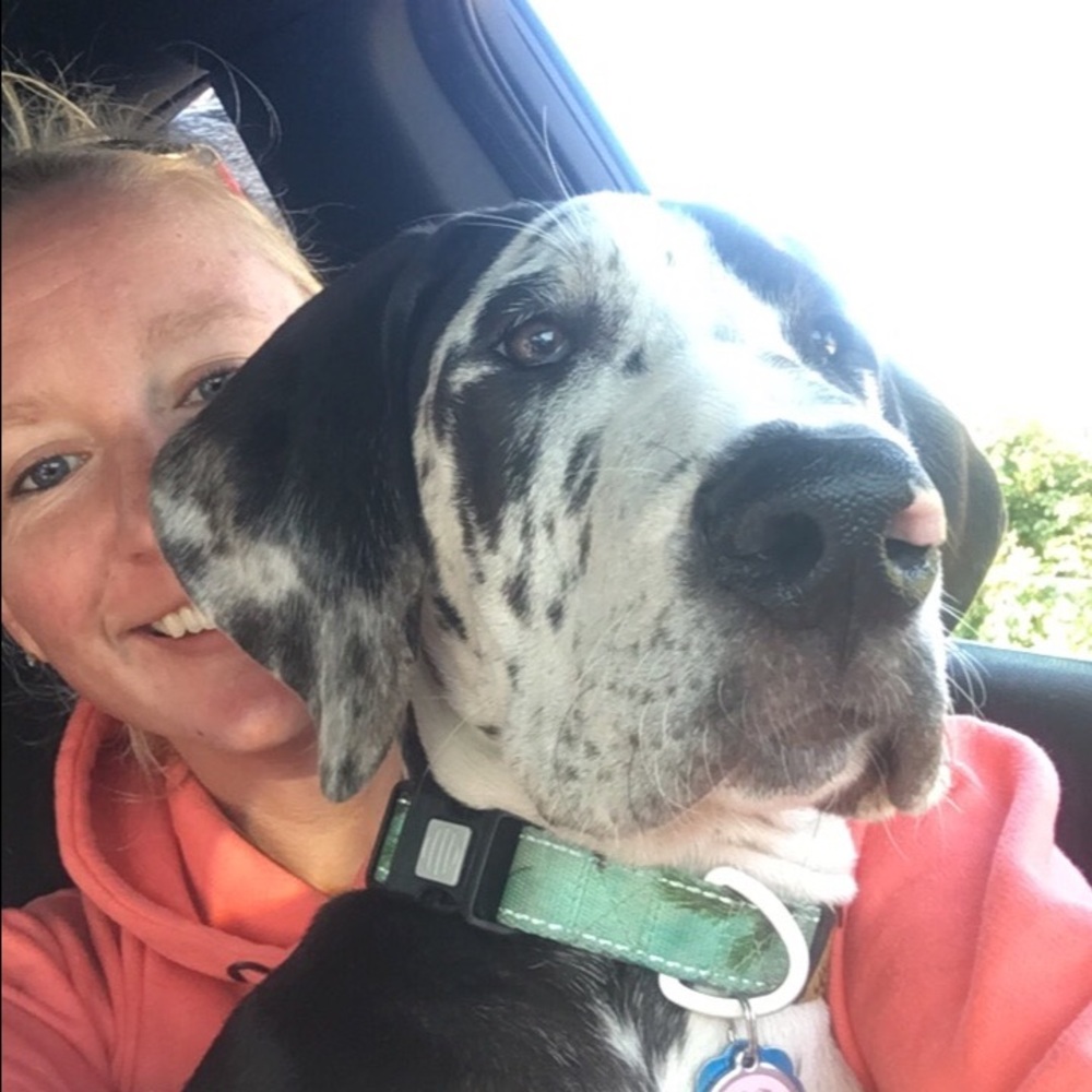 Meet your Posher, Abby