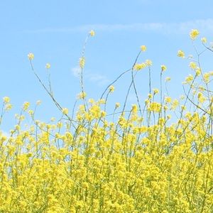 Meet your Posher, Ella