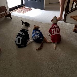 Meet your Posher, Vicki