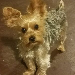 Meet your Posher, Cynthia