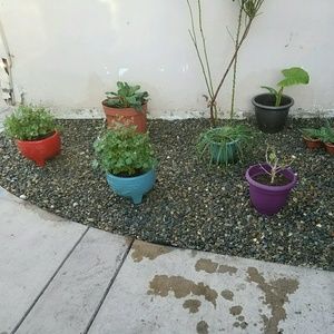 Meet your Posher, Jasmin