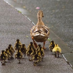 Follow Game #1 ~ Remember to Follow!😂