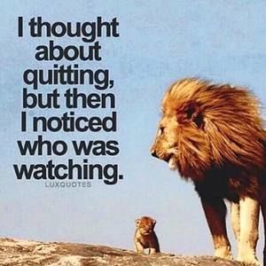 Meet your Posher, Everett