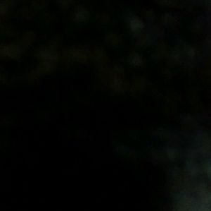 Meet your Posher, Ashleigh