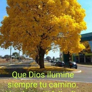 Meet your Posher, Dalgy