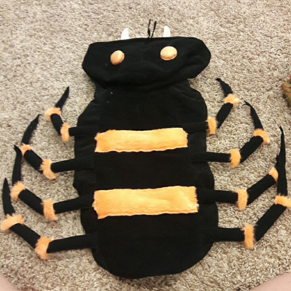 spider costume for small dog