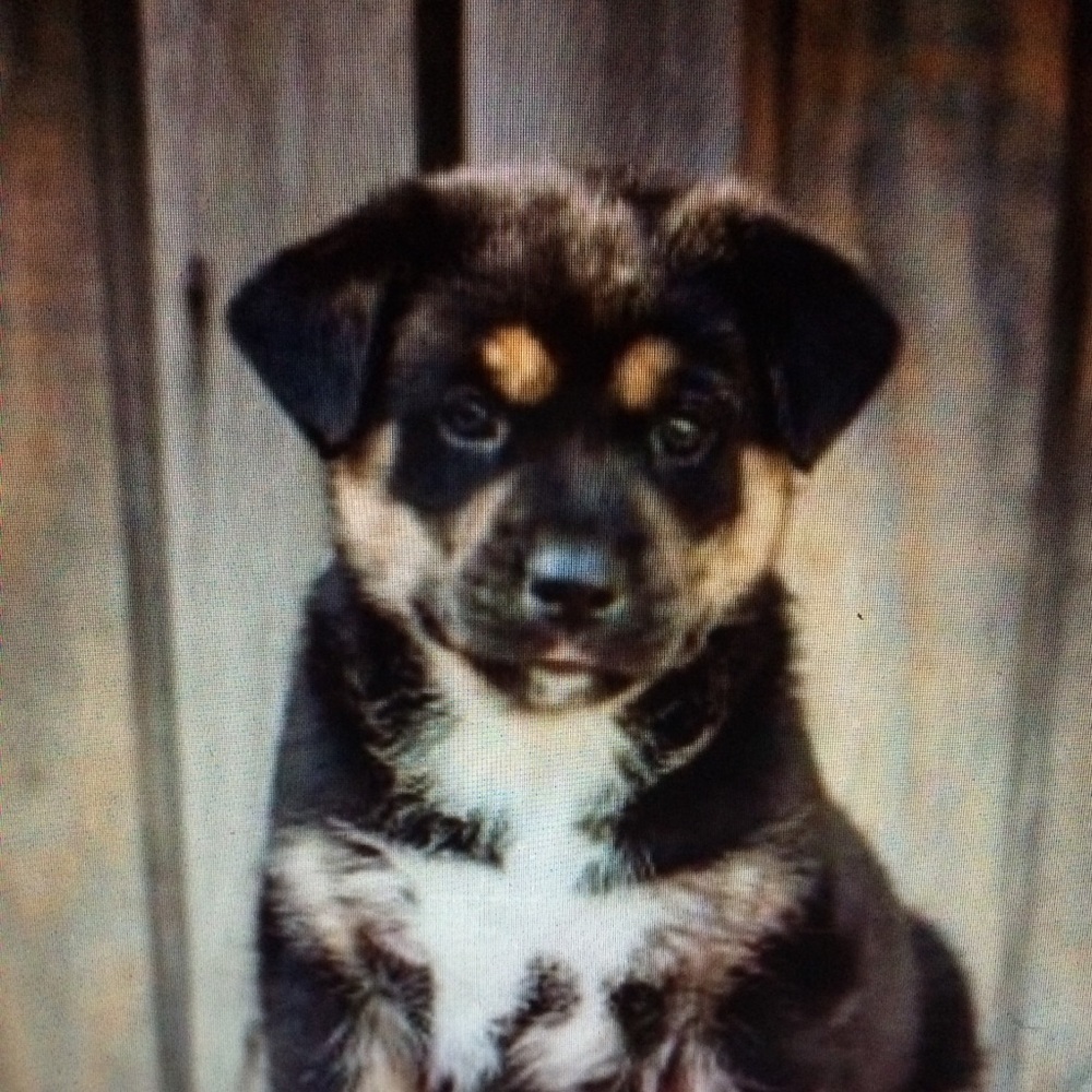 Meet your Posher, Katherine