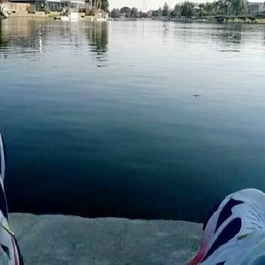 Meet your Posher, Everett