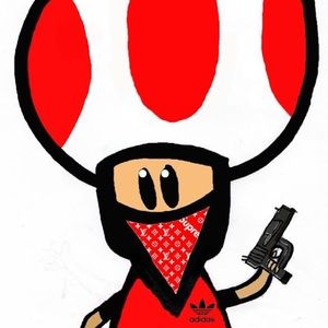 Meet your Posher, Conner