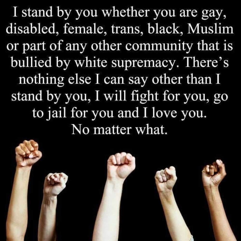 Meet your Posher, Elsa