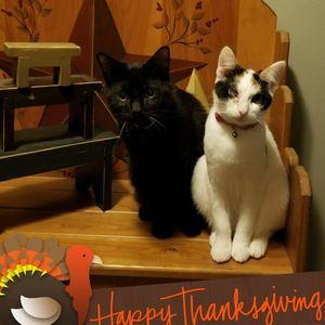 Meet your Posher, Stacy