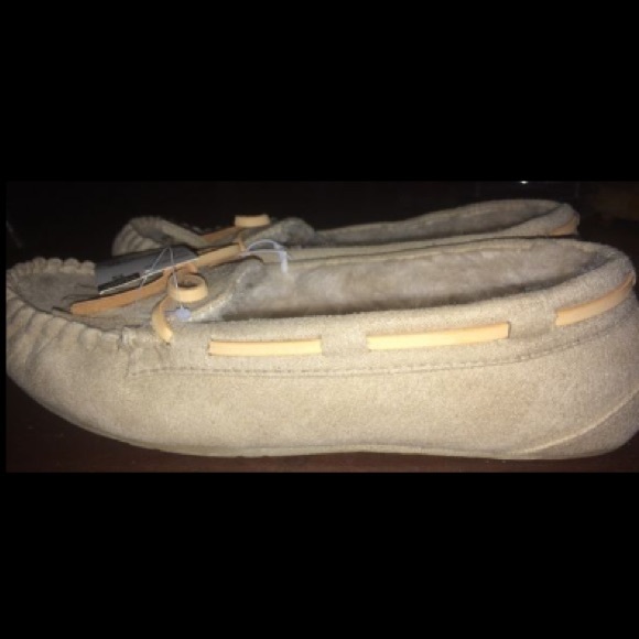 Slippers - Picture 2 of 2