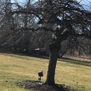 Meet your Posher, Cynthia