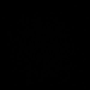 Meet your Posher, Sheldon