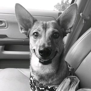 Meet your Posher, Karli