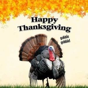 Meet your Posher, Terri