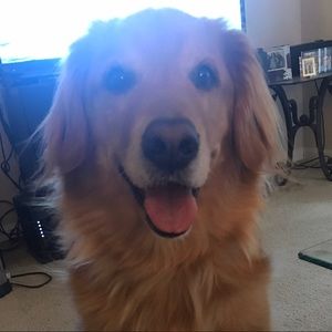 Meet your Posher, Gerald