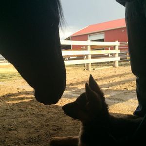 Meet your Posher, Annette