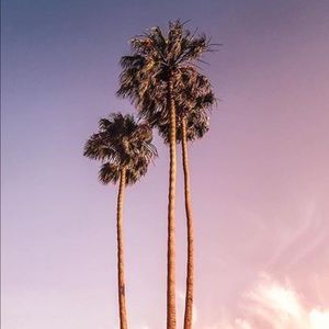 Meet your Posher, Trey