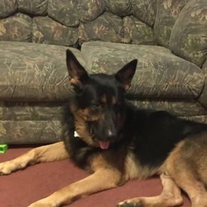 Meet your Posher, Jim