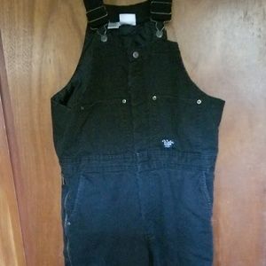 Walls Blizzard Pruf Insulated overalls