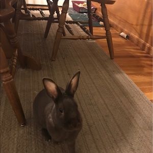 Meet your Posher, Christina