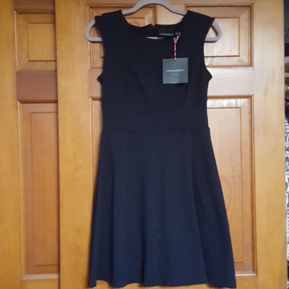 NWT Flattering Cynthia Rowley fit and flare LBD