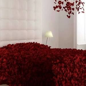 Meet your Posher, Tanya a