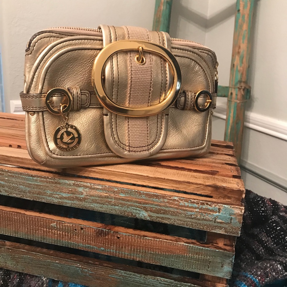 Juicy Couture Gold Clutch