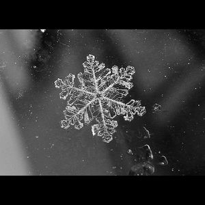 Meet your Posher, Marissa