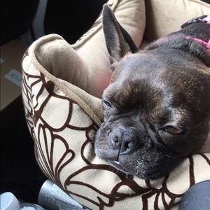 Meet your Posher, Patricia