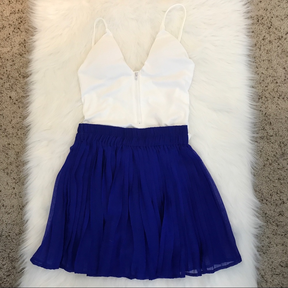 Pleated Skirt