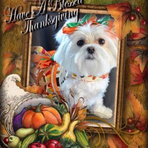 Meet your Posher, Lynne