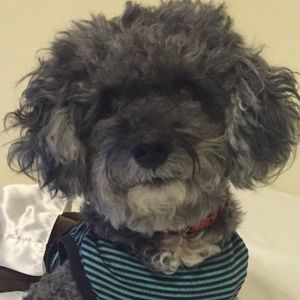 Meet your Posher, Jonathan