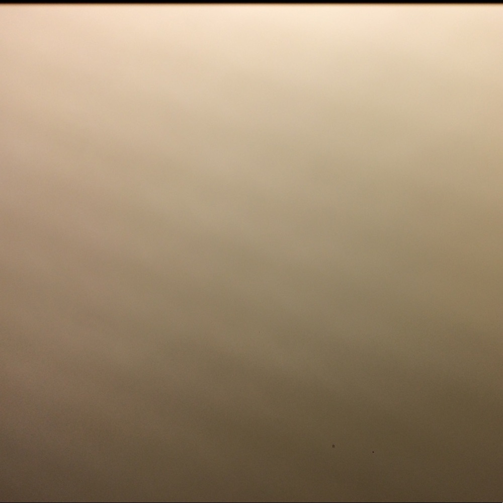 Meet your Posher, Briana