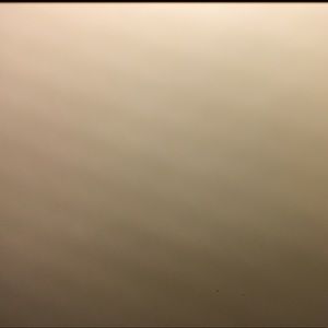 Meet your Posher, Briana